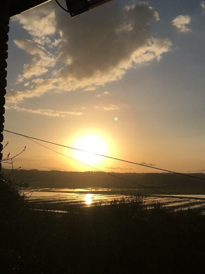 Locazione Turistica Casa Olivo Lägenhet Fucecchio Exteriör bild